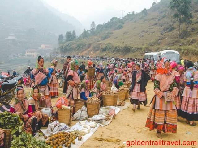 Can Cau Market Tour 1 Day